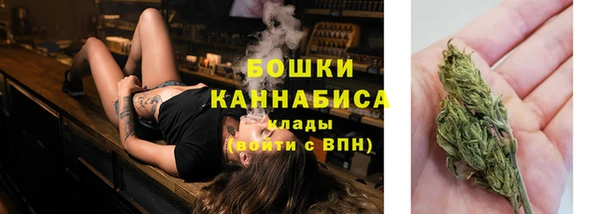 гашик Медвежьегорск