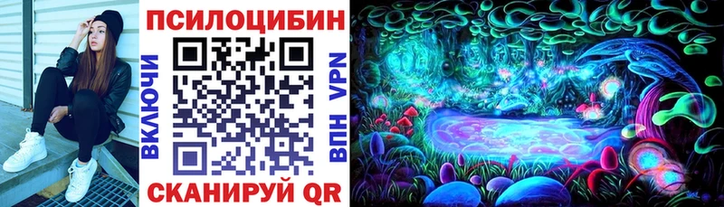 Псилоцибиновые грибы мицелий  Купить закладки  Алдан